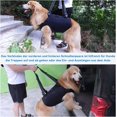 thumbnail image 4 of Arnés De Elevación Vevor Para Perros Soporte Y Rehabilitación Ajustable Transpirable, 4 of 5