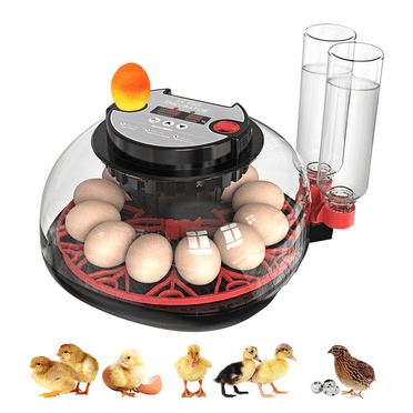 12-24 Egg Incubator with Auto Turner, Temp & Humidity Control - 360° View for Chicken, Duck, Quail Eggs