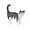 Black, variant on MeetYTOYS Cute Miniature Cats Landscape Lovely Figurines Fairy Home Garden Animals Christmas Birthday Gift for Home Garden Decor Ornament Supplies 1PC