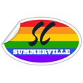 thumbnail image 2 of Summerville SC South Carolina Dorchester County Rainbow Pride Flag 6 Stripes Pride Flag Euro Decal Bumper Sticker 3M Vinyl 3" x 5", 2 of 3