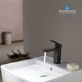 thumbnail image 2 of Blossom Brass Matte Black High Arc 1-Hole Install Single Handle Faucet with Pop-Up Drain - F118 04 P, 2 of 6