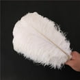 thumbnail image 4 of Ksopiavobs 100 Pieces Decoration Ostrich Feathers 6-8 Inch (15-20 cm) High Simulation Artificial Ostrich Feathers for Wedding Theme Party Cosplay Home or Handicraft House Decoration, White, 4 of 4
