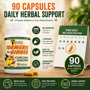 Sunshine Naturals Turmeric Curcumin with Ginger Dietary Supplements, 90 Capsules, Healthy Digestion and Immune Support
