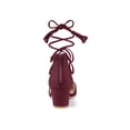 thumbnail image 2 of BLISSFUL STEP Women Pointed Toe Block Heels Lace Up Pumps Burgundy 9, 2 of 7