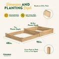 thumbnail image 6 of Greenes Fence 4' x 8' x 10.5-7'' (3/4" Thick) Premium Cedar Raised Garden Bed, 6 of 8