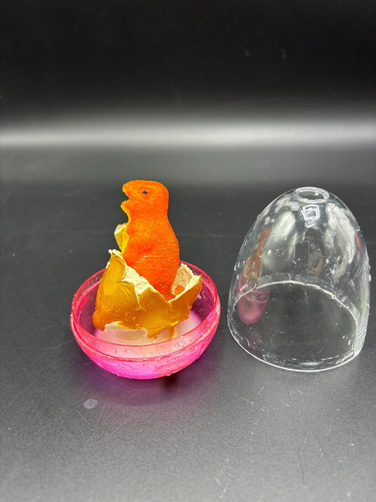 Easter Eggstravaganza: Explore Dino Egg Discovery Fun for Kids & Families with a Dozen Eggs