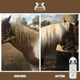 thumbnail image 7 of Knotty Horse Apricot Oil Conditioning Shampoo, 7 of 7