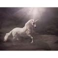 thumbnail image 3 of Babette 24x19 Black Modern Framed Museum Art Print Titled - Unicorn, 3 of 5
