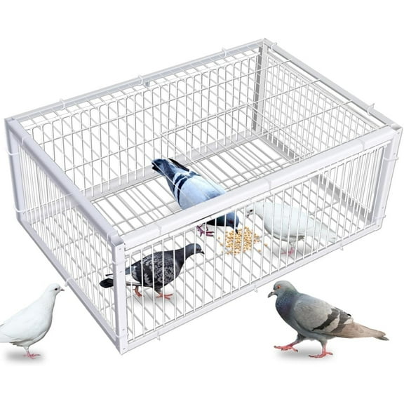 AIWFL Pigeon Trap with Escape-Proof, 23.6 ''x 15.7'' x 10.2'' Metal Encrypted Pigeon Cage with One-Way Entry for Chicken, Bird