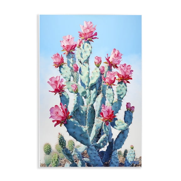 Stupell Industries Contemporary Southwestern Cactus Flowers Wall Plaque Art, 10 x 15, by RB