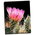 thumbnail image 2 of Gango Home Decor Armed and Beautiful by Douglas Taylor (Ready to Hang); One 22x28in Hand-Stretched Canvas, 2 of 4