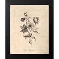 thumbnail image 2 of Harbick, N. 20x24 Black Modern Framed Museum Art Print Titled - Vintage Anemones, 2 of 5