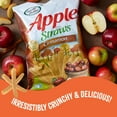 Apple Straws, Cinnamon Flavor, GlutenFree Chips, Individual Snacks, 1