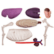 thumbnail image 4 of Modelo de anatomía de órganos animales 4D Juguete de ensamblaje de inteligencia de caballos Electrodomésticos de bricolaje para enseñanza, 4 of 4