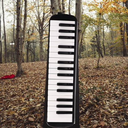 CTIRCHIU 1Pcs Melodica Instrument for Kids Beginners Learning 15.9x4.1x1.6in