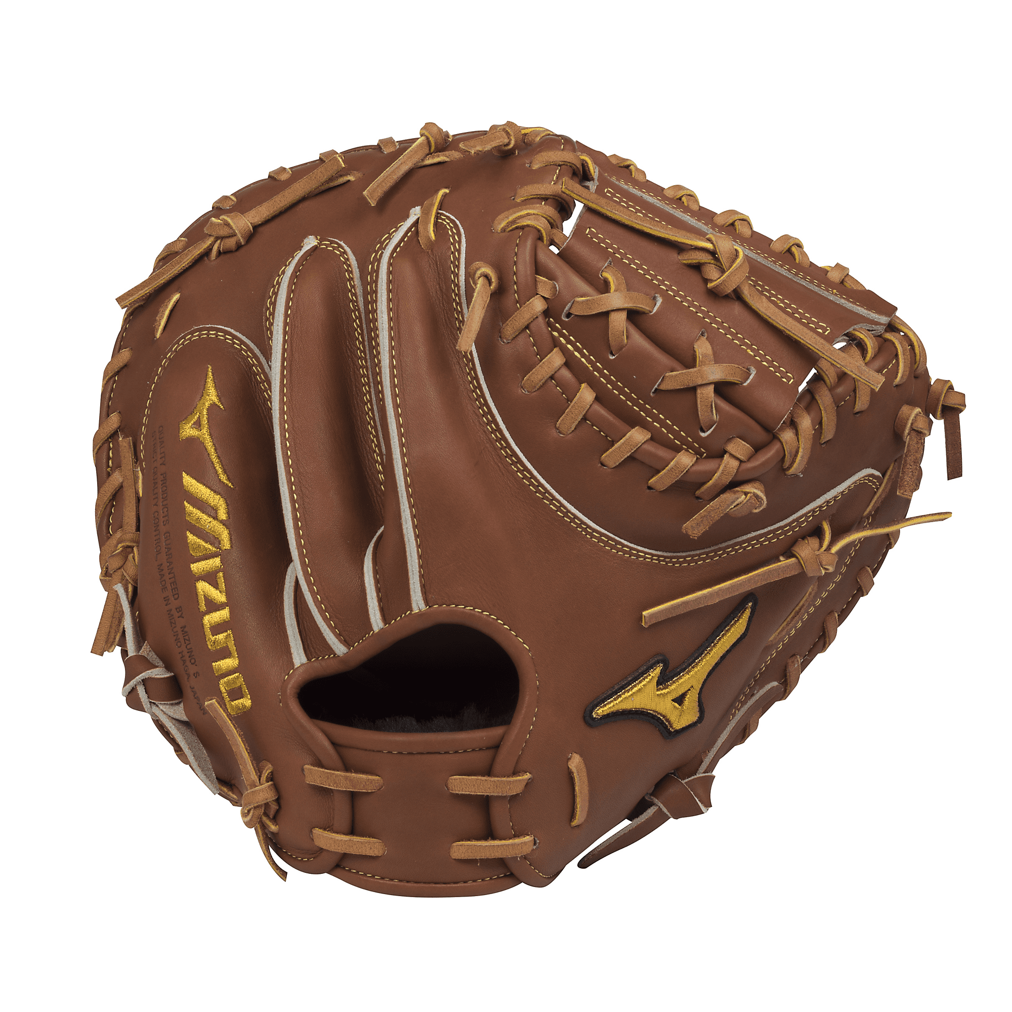 mizuno catcher mitt