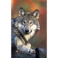 thumbnail image 2 of CafePress - Wolf 024 Mugs - 11 oz Ceramic Mug - Novelty Coffee Tea Cup, 2 of 4