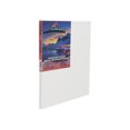 Paramount Artist PreStretched Canvas for Painting, 11/16" Deep, 12 x