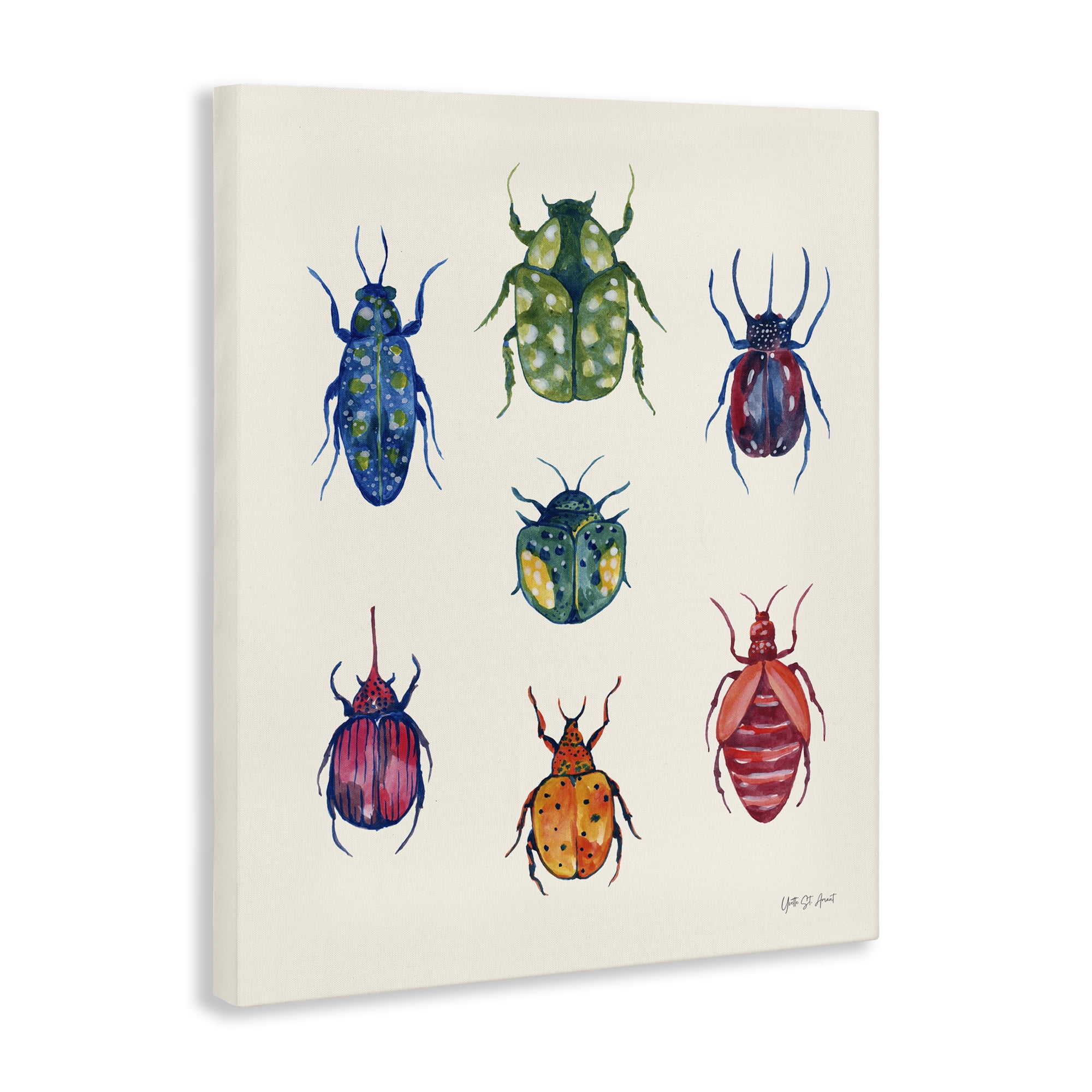 Stupell Industries Varied Beetle Chart Insects Painting Wrapped Canvas Art Print Wall Art, 36 x 48