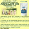 thumbnail image 6 of Healthy Kidney Kidney Restore Dog Treat Supplements for Medium/Large Breeds, Dog Treats for Kidney Support for Dogs, Renal Treats for Any Kidney Dog Diet, 1 lb., 6 of 8
