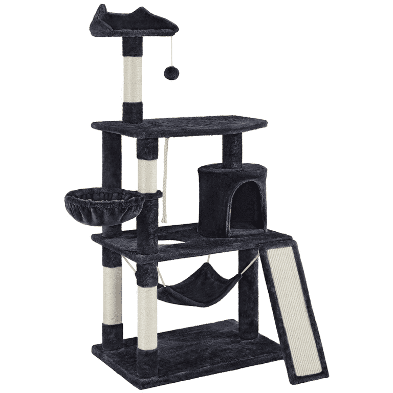 Black 2025 cat condo