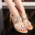 thumbnail image 1 of Chanclas de moda de verano para mujer, sandalias de tacón alto, zapatos de diamantes de imitación para chicas gordas Wmkox8yii  hj789, 1 of 7