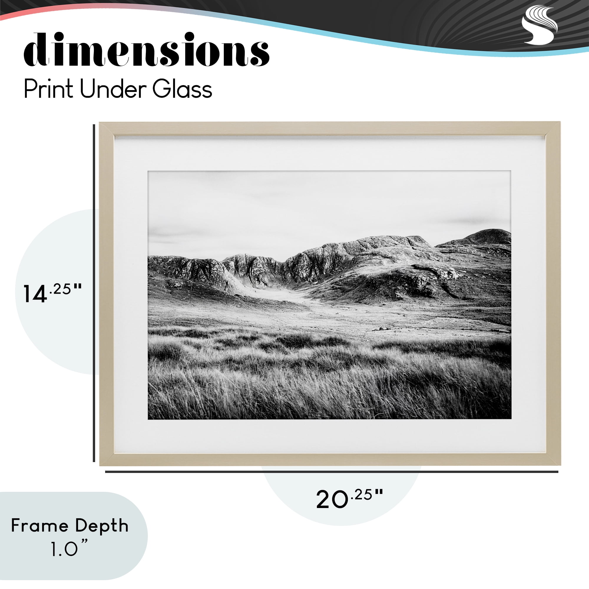 Stupell Industries Magnificent Countryside View Birch Framed Print Under Glass, design by Andy Amos