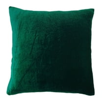 Decorative Cushion Cover Green Home Dcor Throw Pillow Velvet Case - Choose Size