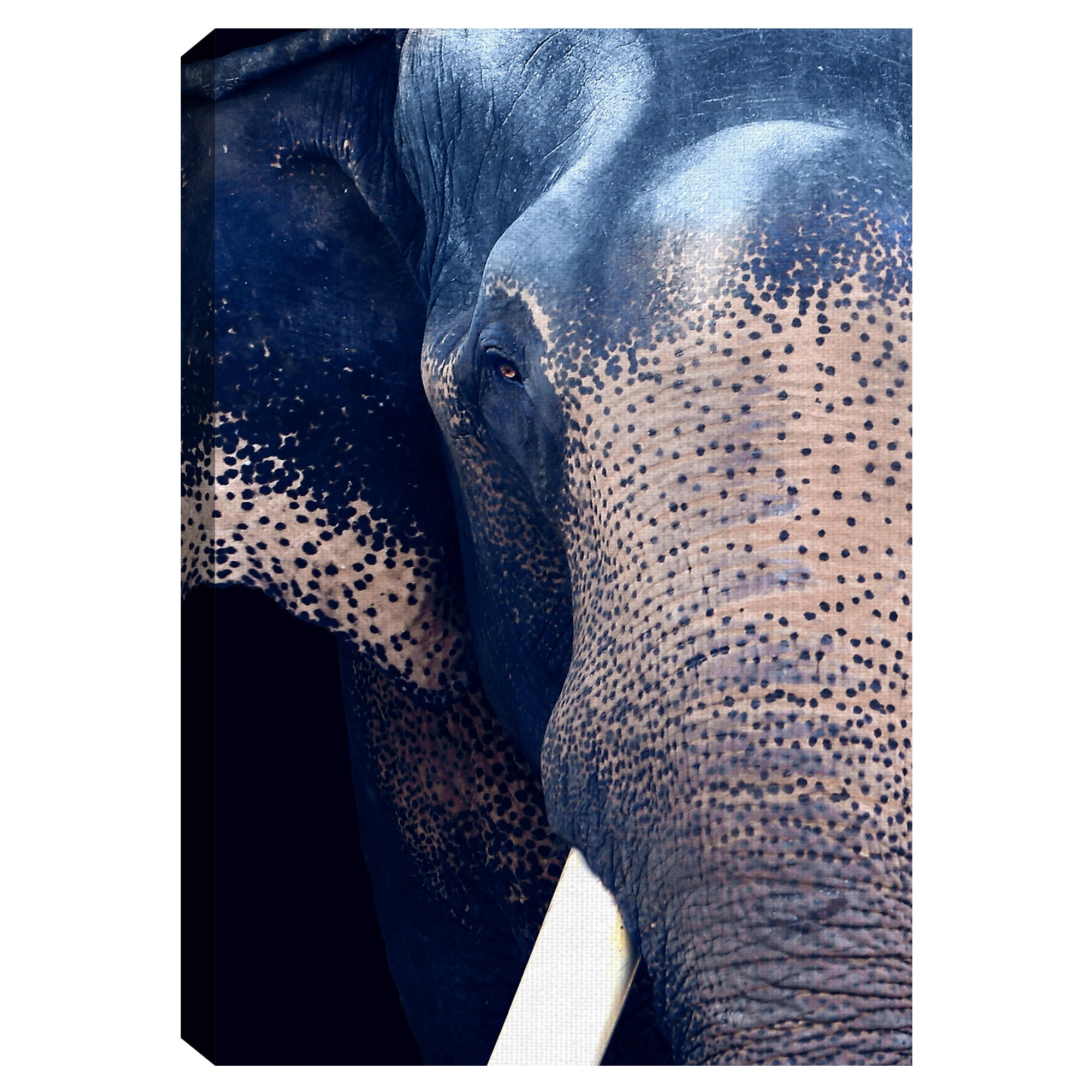 Masterpiece Art Gallery Titan The Elephant By Belle Maison Canvas Art Print 24" x 36"
