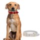 thumbnail image 5 of Collar de perro pesado clásico Collar de perro impermeable a prueba de olores, 5 of 5