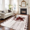 thumbnail image 2 of Texas Star Vintage Area Rugs 6'x9', Washable Small Throw Rugs for Kitchen Dining room, Red Berry Retro Art White Wooden Indoor Outdoor Rug Non-Slip Low Pile Carpet Runner Reversible Floor Mats, 2 of 8