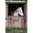thumbnail image 2 of Horse Stable Wall Mural by Wallmonkeys Peel and Stick Graphic (48 in H x 32 in W) WM243886, 2 of 4