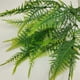 thumbnail image 4 of Kearding 2 piezas de plástico abrazan la vitalidad con plantas verdes en maceta simuladas para el hogar plantas verdes simuladas helecho Decoración, 4 of 6
