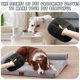 thumbnail image 4 of Pet Grooming Gloves for Dogs & Cats - Double-Sided Hair Remover for Shedding & Fleas, 4 of 5