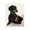 Gamer Dachshund Dog, variant on Stupell Industries Happy Gamer Dog Animals & Insects Painting Black Floater Framed Art Print Wall Art, 17 x 21
