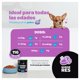 thumbnail image 3 of Suplemento para perros y gatos Blife B Pets Vitamin Support, 3 of 5