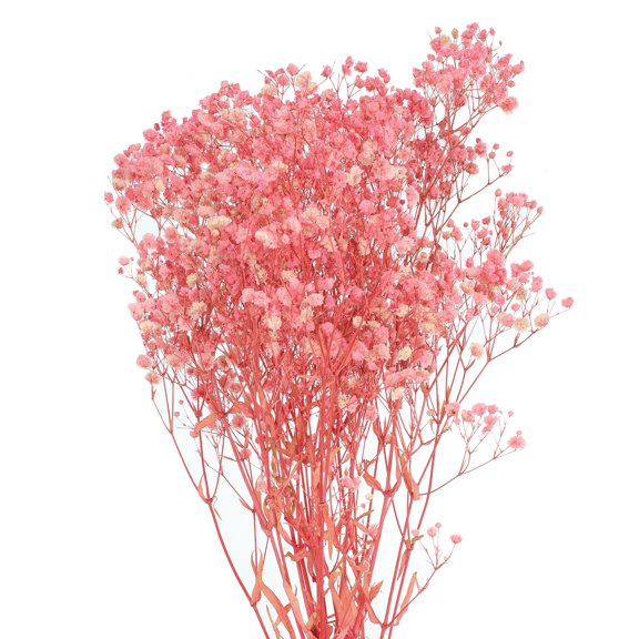 Uxcell Dried Baby's Breath Flowers 17 Inch Gypsophila Light Pink Natural Baby's Breath Branches for Wedding Party Home Decoration 3 Pcs