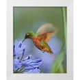 thumbnail image 3 of Tim Fitzharris 4x14 White Modern Wood Framed Wall Art Titled - Chestnut Breasted Coronet Hummingbirds, 3 of 5