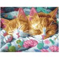 thumbnail image 2 of Diamond Dotz Kitty Kip Diamond Painting Kits for Adults - Cat Diamond Art Kits a Relaxing Creative Craft Kit with Dotz Gems 13.6x17.5, 2 of 3