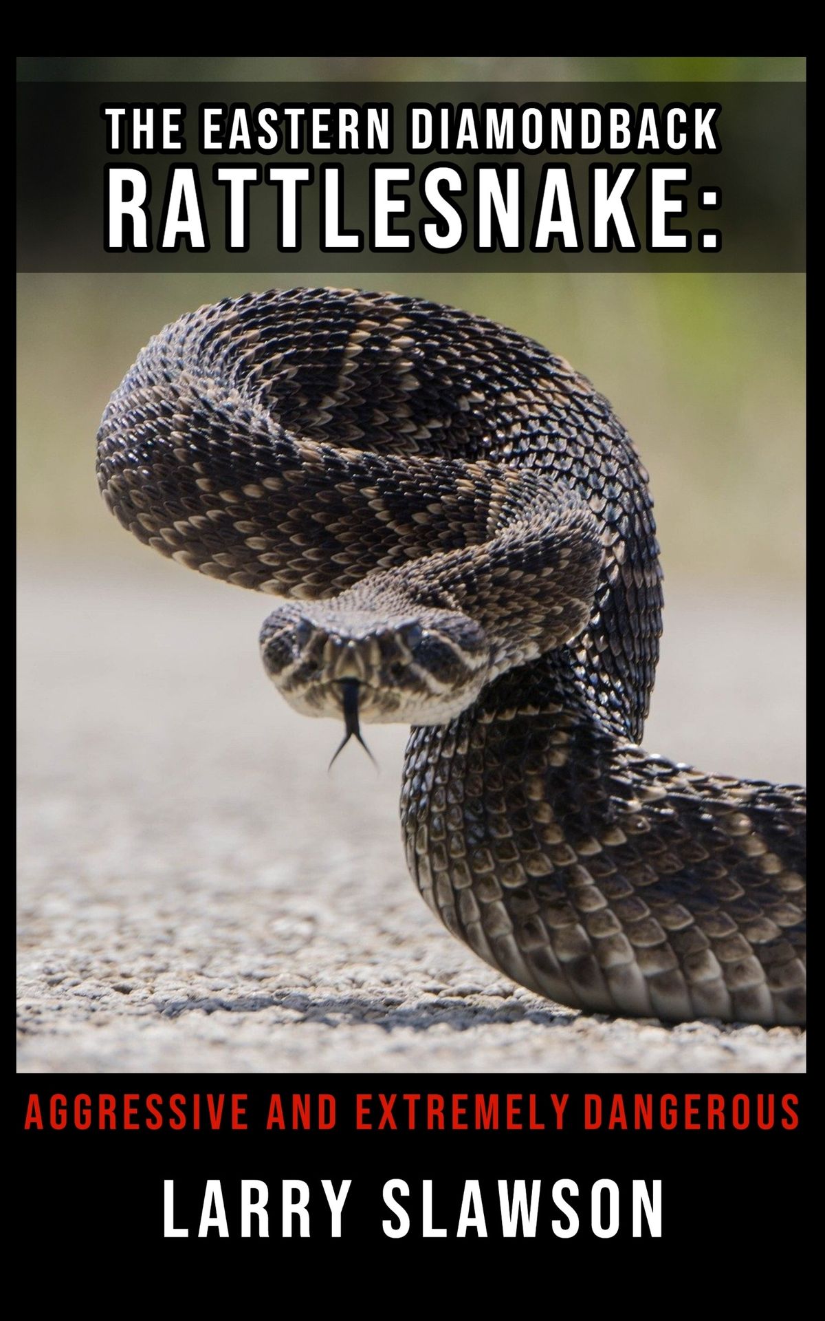 The Eastern Diamondback Rattlesnake eBook