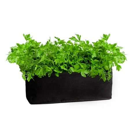 Organic Parsley Herb Garden Planter Box Kit With Soil Block
