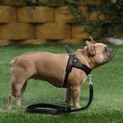 Plutus Pet No Pull Dog Harness with Breathable Mesh Padded, Adjustable Reflective Escape Proof Dog Harness, Quick Fit Dog Vest Harness for Small Medium Large Dogs(XXS, Black)
