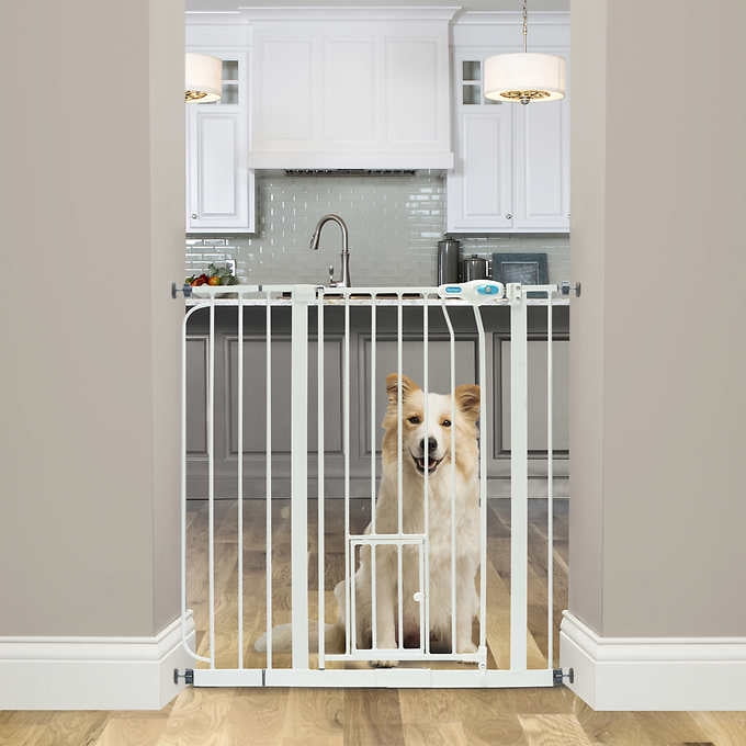 carlson extra wide walk through pet gate