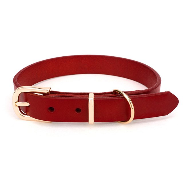 Collar de perro pesado clásico Collar de perro impermeable a prueba de olores