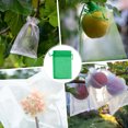 thumbnail image 2 of Bolsas de Protección de Frutas Uxcell 200 Pack - Bolsas de Malla para Frutas de 4x6 Pulgadas con Cierre de Cordón Aplicables a Plantas (Verde Pasto), 2 of 7
