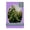 Pansy Purple, variant on Pansy Purple Picture Frame Mat for 12x18 Frames - Oval Opening for 11x15 Photos - 1 Mat