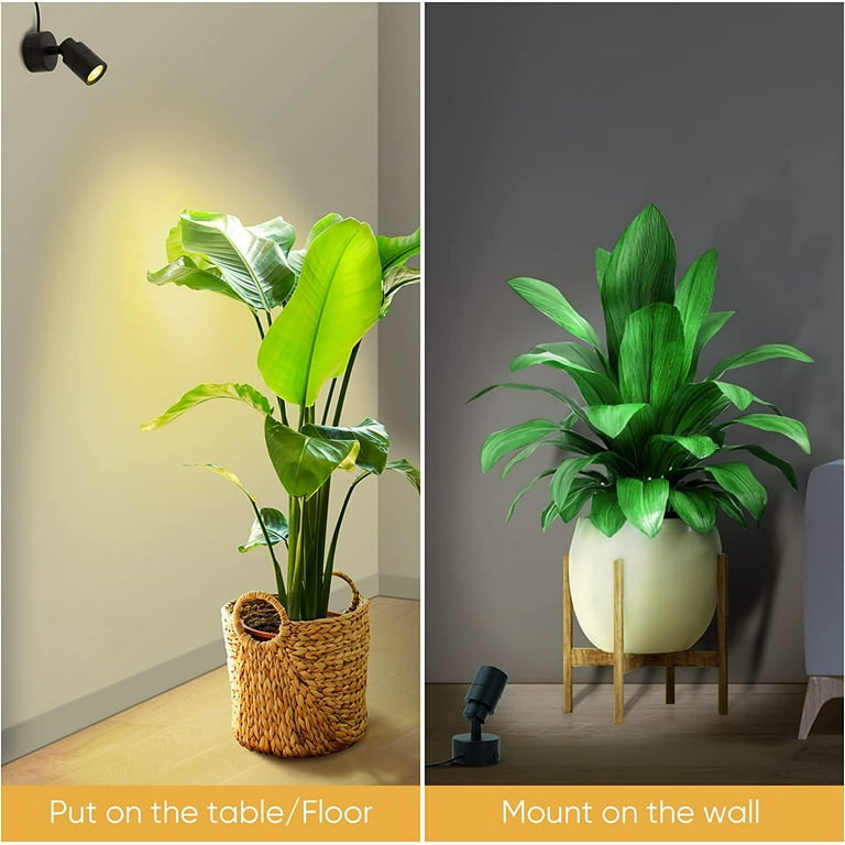 Indoor plant outlet spotlight uplighters