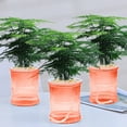 4-inch-self-watering-planters-african-violet-pot-for-indoor-plants