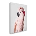 thumbnail image 3 of Stupell Industries Pink Cockatoo Photography Animals & Insects Photography Gallery Wrapped Canvas Print Wall Art, 24 x 30, 3 of 7