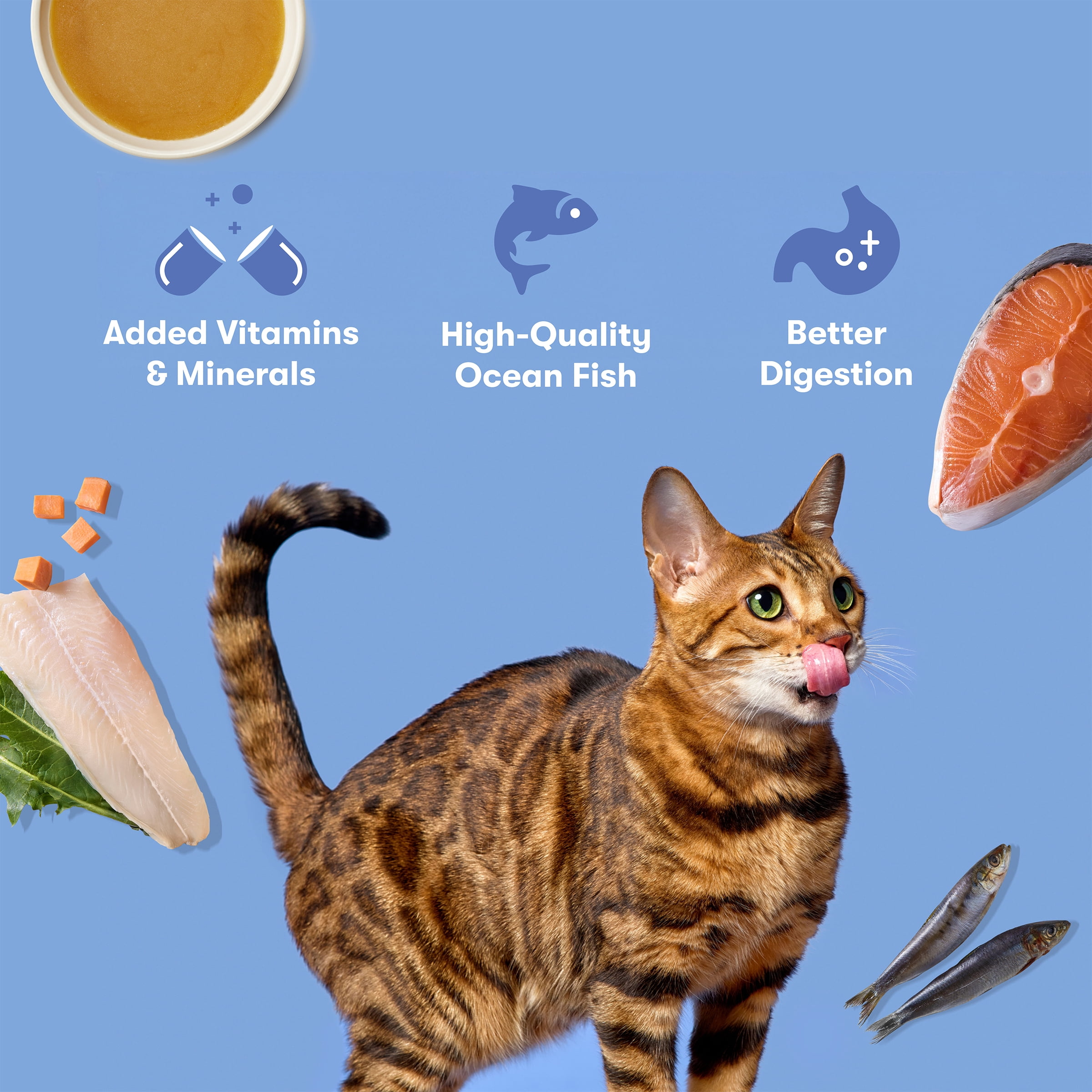 (24 pack) Jinx Ocean Fish Paté Cat Wet Food, 4.05 oz Can